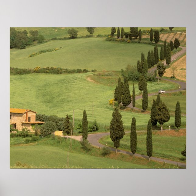 Póster Europa, Itália, Toscana, Monticchiello. Curvy (Frente)