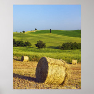 Poster Europa, Itália, Toscana, Val d'Orcia, Pienza -