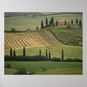 Póster Europa, Itália, Toscana, Val d'Orcia, Toscânia