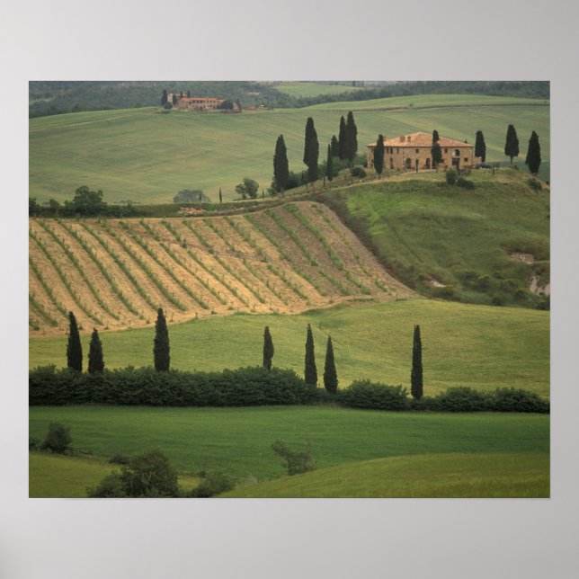 Póster Europa, Itália, Toscana, Val d'Orcia, Toscano (Frente)