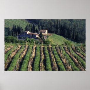 Póster Europa, Itália, Toscana. Vila cênica cyprus.