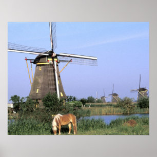 Póster Europa, Países Baixos, Zuid Holland, Kinderdijk.2
