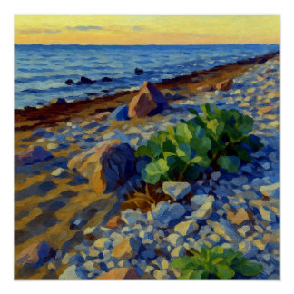 Póster Evening light on the coast of Vormsi