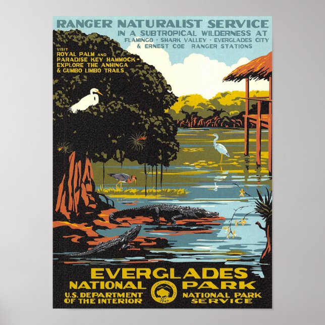 Poster Everglades (Frente)