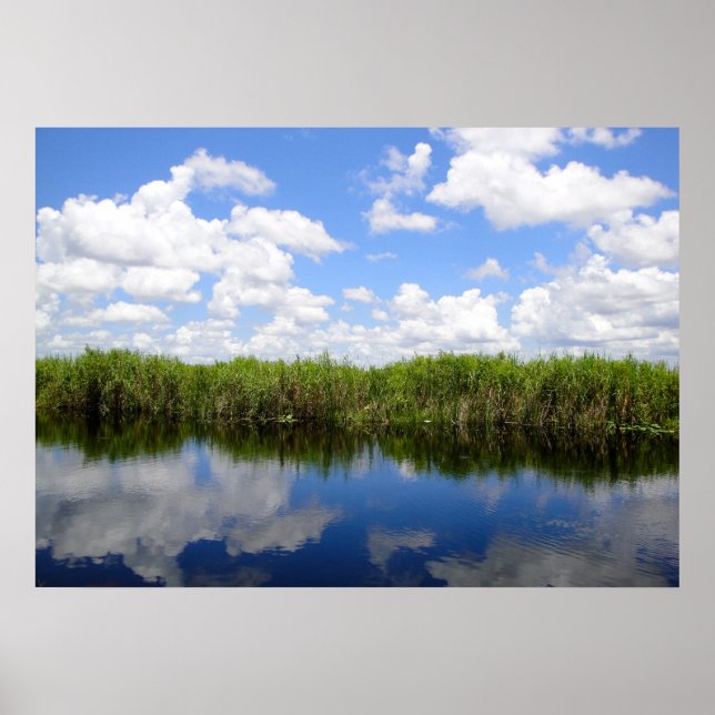Poster Everglades (Frente)