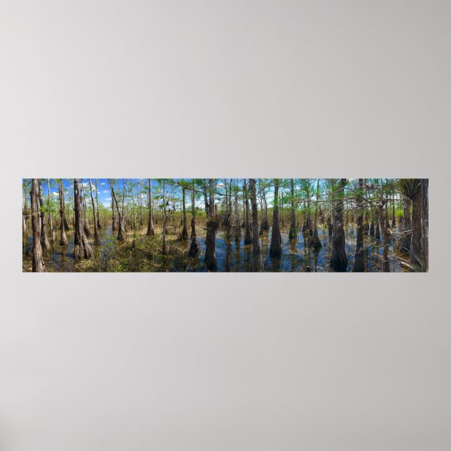Poster Everglades Cypress (Frente)