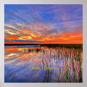Poster Everglades da Flórida, panorama cênico,