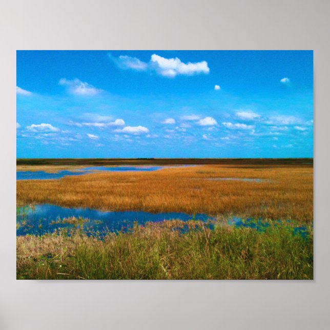 Poster Everglades da Flórida Sawgrass, Céu e Reflexos (Frente)