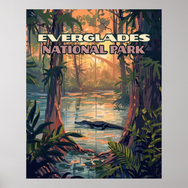 Poster Everglades National Park Alligator Swamp Florida (Frente)