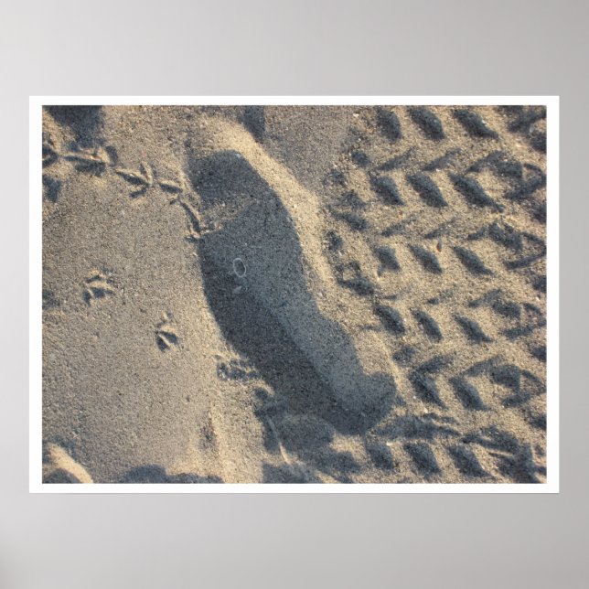 Poster evolução (Frente)