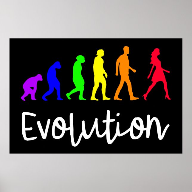 Poster Evolução (Frente)