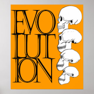 Poster Evolução