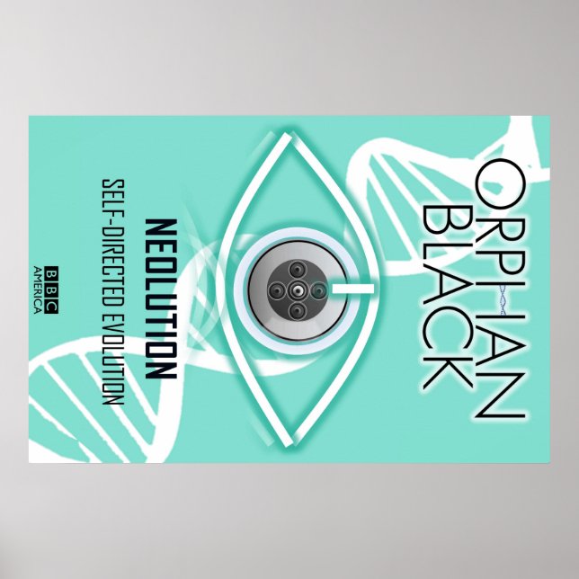 Póster Evolução Autodirecionada (Poster) (Frente)