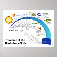 Evolução da Vida no Diagrama da Linha do Tempo da