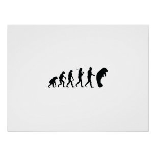 Póster Evolução de Manatee