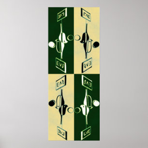 Póster Evolução de Yin e de Yang