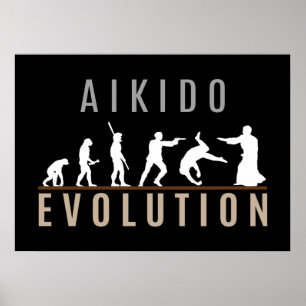 Póster Evolução do Aikido