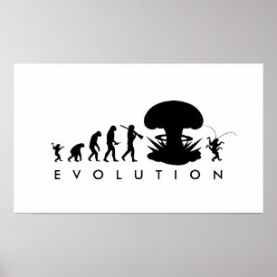 Póster Evolução do Homem & Barata Gráfico Divertido de Ev