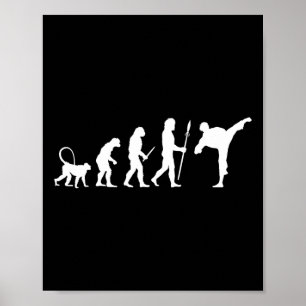 Poster Evolução do Karate