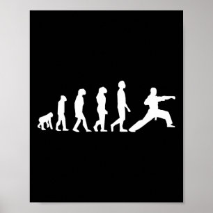 Poster Evolução do Karatê