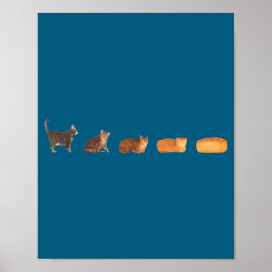 Poster Evolução do pão de gato, mãe de gato engraçada, ga