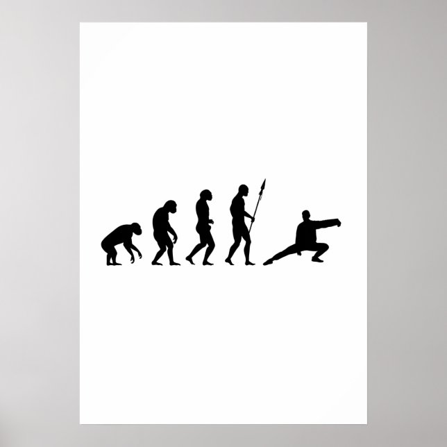 Póster evolução do tai chi (Frente)