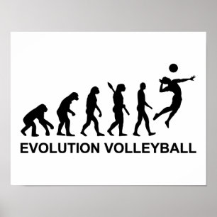 Poster Evolução do voleibol