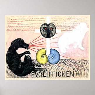 Poster Evolução nº 5, Grupo VI, 