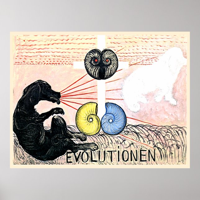 Poster Evolução nº 5, Grupo VI,  (Frente)