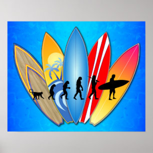 Poster Evolução surfando