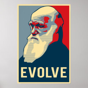 Póster Evoluir