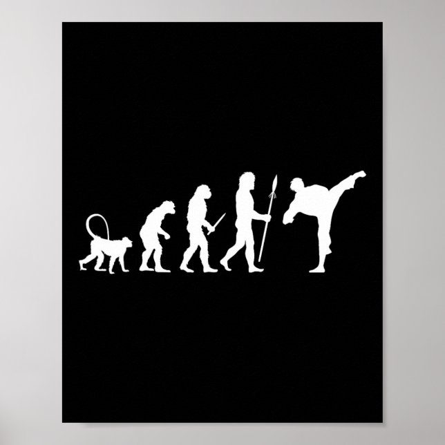 Poster Evolution Of Karate  (Frente)