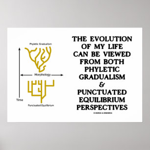 Póster Evolution Phyletic Gradualism Pontuou Equilibrm
