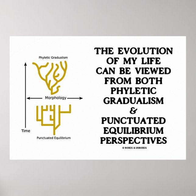 Póster Evolution Phyletic Gradualism Pontuou Equilibrm (Frente)