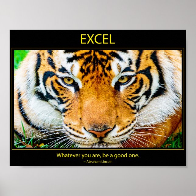 Poster Excel (Frente)