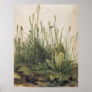 Póster Excelente Albrecht Durer