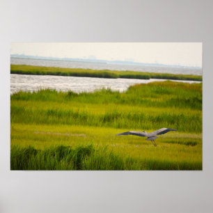 Poster excelente Azul Heron Voador