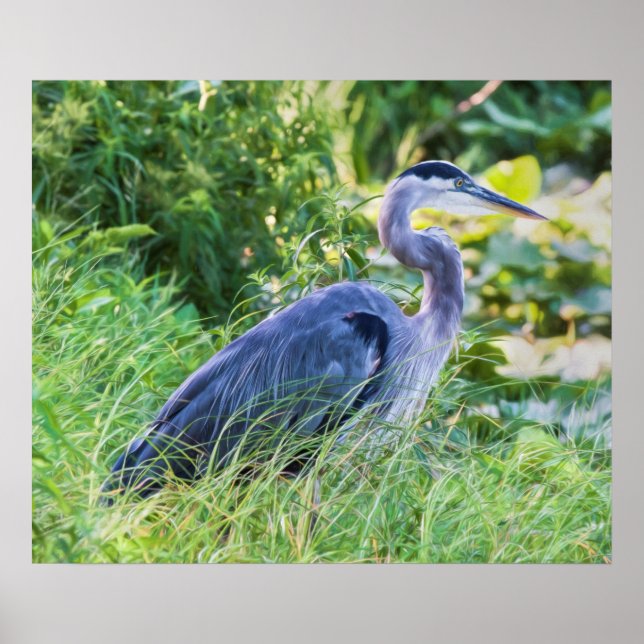 Póster Excelente Blue Heron (Frente)
