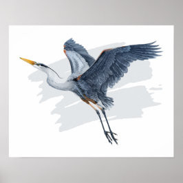 Poster Excelente Blue Heron em Voo