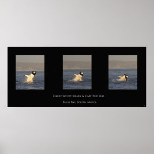 Poster Excelente branco toma selo