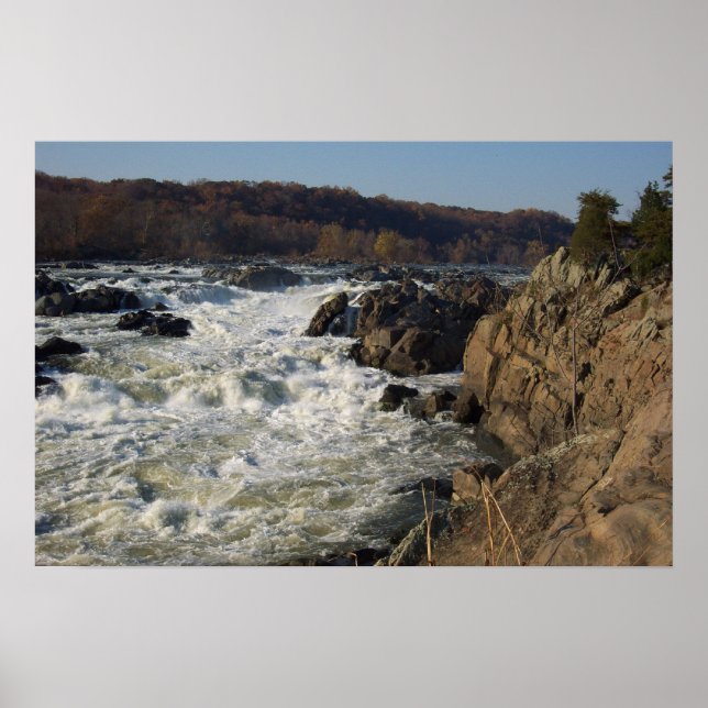 Póster Excelente cai, MD (Frente)