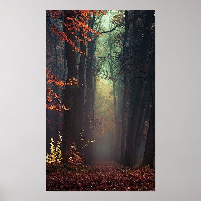 Póster Excelente da Natureza (Frente)