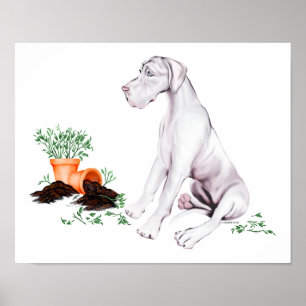 Póster Excelente Dane Naughn White Pup