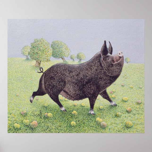 Póster Excelente de sensação (Frente)