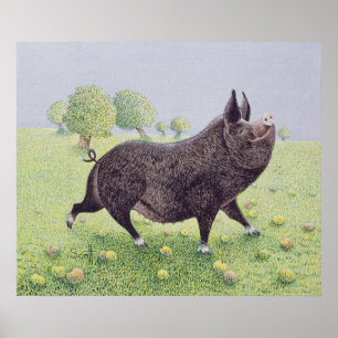 Póster Excelente do sentimento