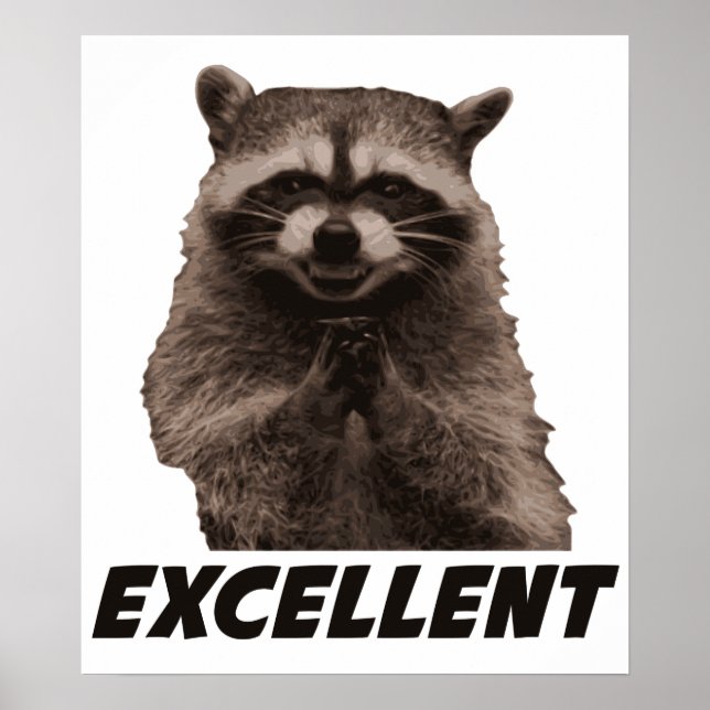 Póster Excelente Mau Plotting Raccoon (Frente)