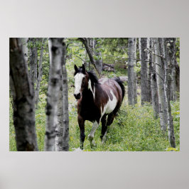 Poster Executando Foto Pinto Paint & Forest Horse