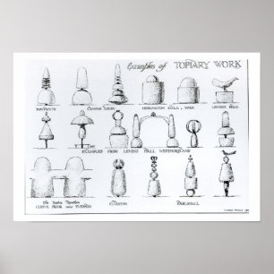 Póster Exemplos de trabalhos de Topiary, 1902 (gravura) (