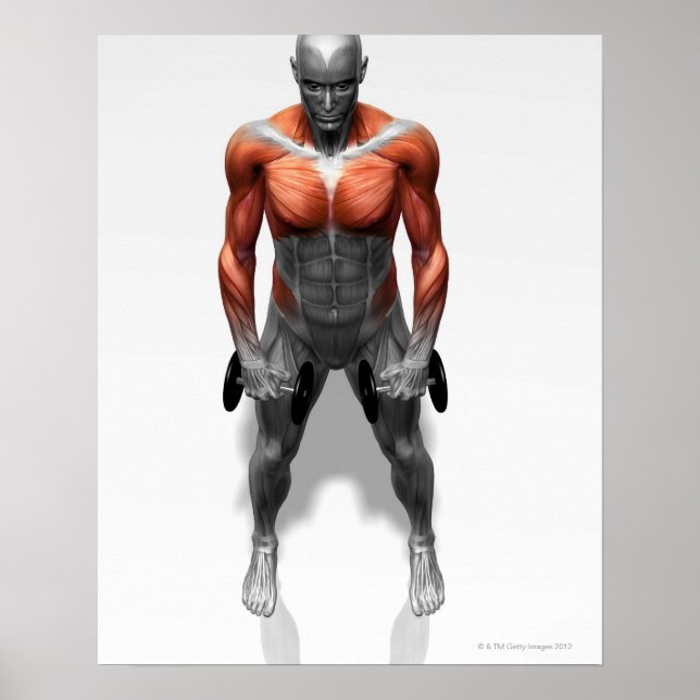 Póster Exercício de Linha Direta (Frente)