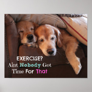 Póster Exercício Demotivational do golden retriever